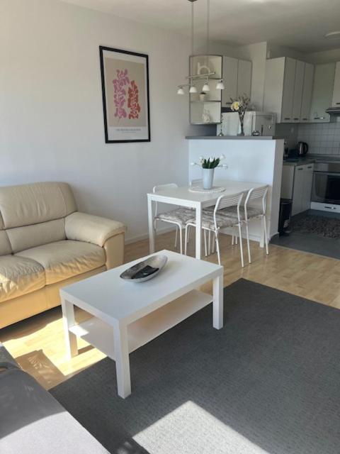 Rocco Apartment-Free Parking&Wifi زغرب المظهر الخارجي الصورة